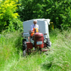 Massey Harris Pony 812TM im Einsatz