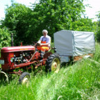 Massey Harris Pony 812TM im Einsatz