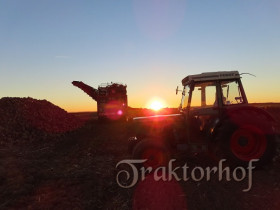 Abendsonne im Herbst