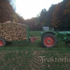 Deutz D30 beim Brennholztransport