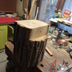 Dengelhocker Hauptstamm
