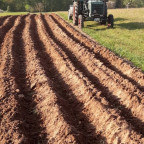 Hanomag Granit 501 E neben unserem Kartoffelacker