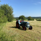 Eicher Panther EM 295