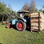 Eicher 3351 mit Hubmast und Brennholz