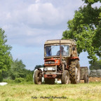 Massey Ferguson 135