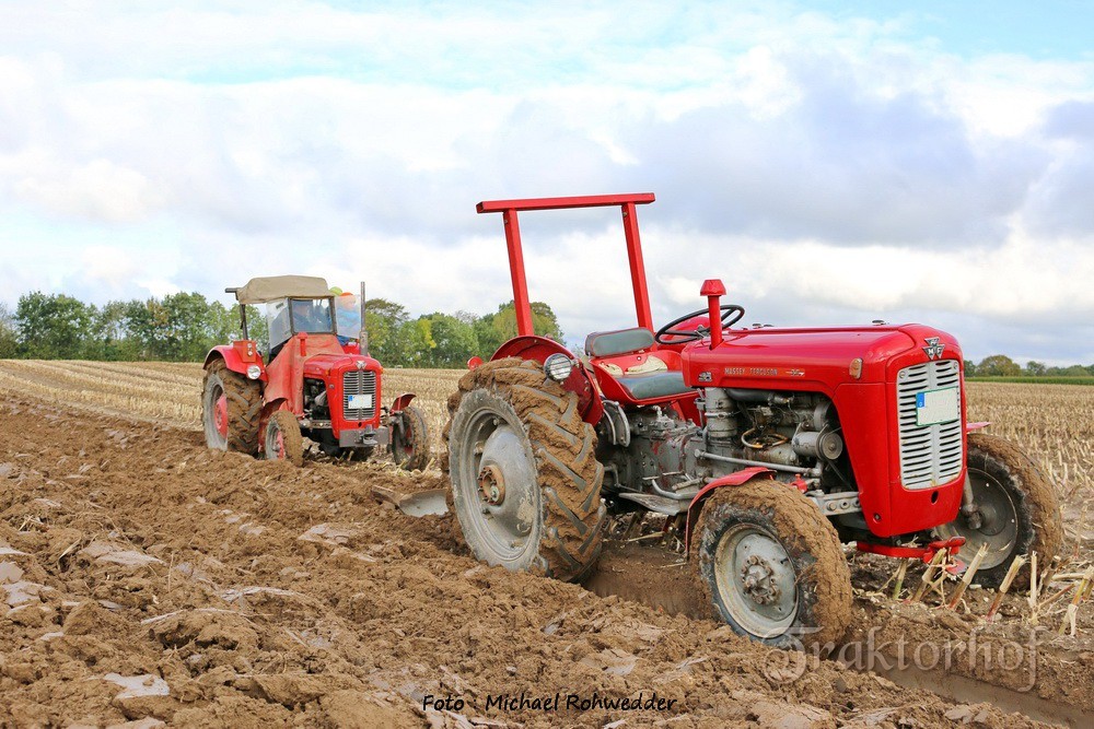 MF 35 bei der Herbstfurche - Das Oldtimer Traktor und Landmaschinen Forum