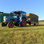Eicher Königstiger 1 3007 S
