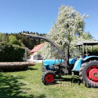 Eicher 3351 vor Birnbaum