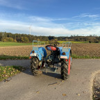 Panther vor der Restauration